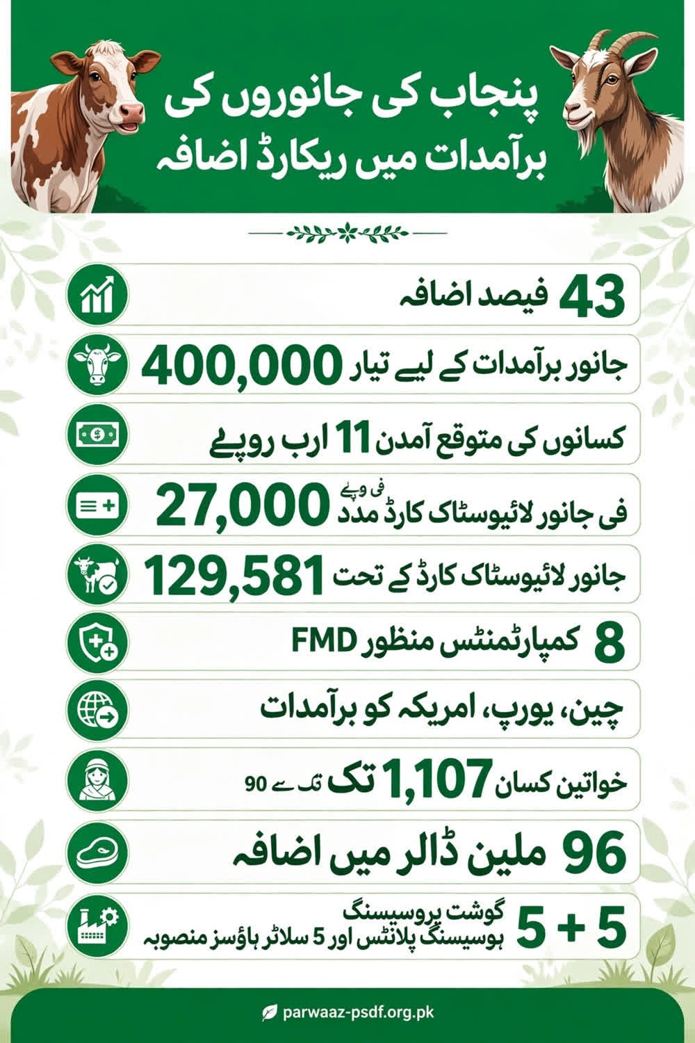 پنجاب کی جانوروں کی برآمدات میں 43 فیصد اضافہ